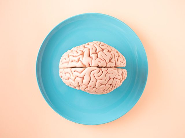 L’impact de la ménopause précoce sur la santé du cerveau