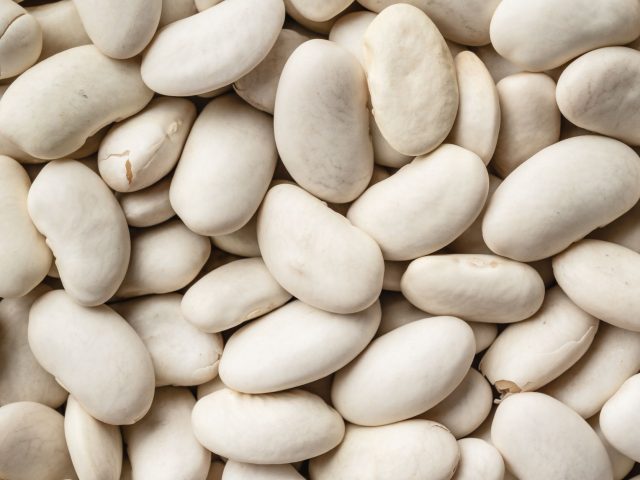 Pourquoi ajouter des haricots blancs à vos repas booste votre énergie ?