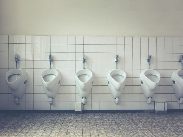 Depuis le début de l’étude, les causes des odeurs urinaires analysées