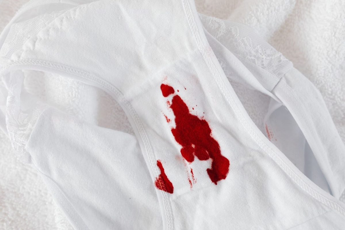Culotte Thinx Confort : confort et absorption à vérifier